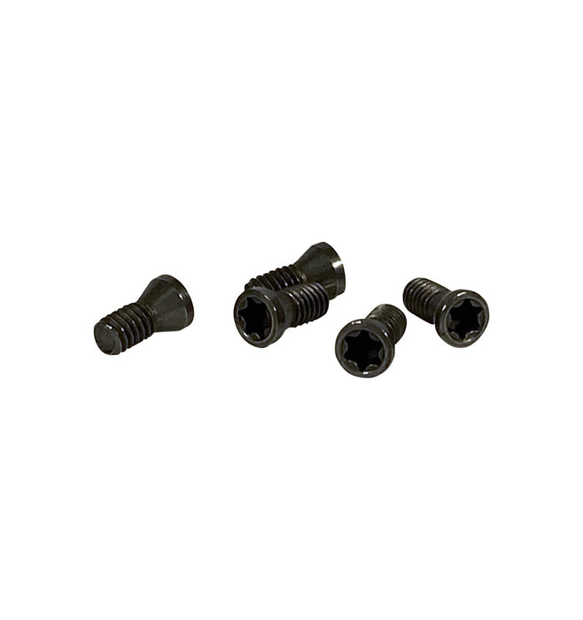 Torx screw 2.5x6