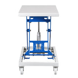 Rehnen Lifting Table HTK Small Pegasus